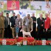 Belgian Top Terrier Show 2019